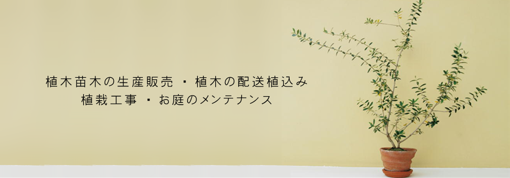個人邸・店舗向けの植木の小売販売・配達・植え込みを行っています。