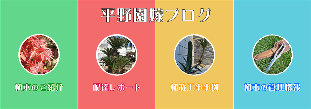 平野園嫁ブログ・随時更新中です！