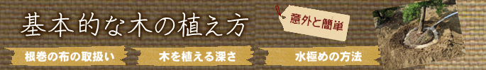 基本的な木の植え方